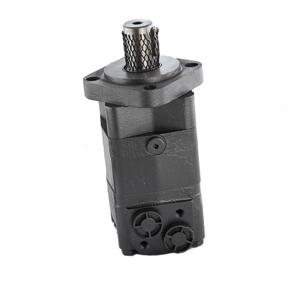 Hydraulic motors view 11